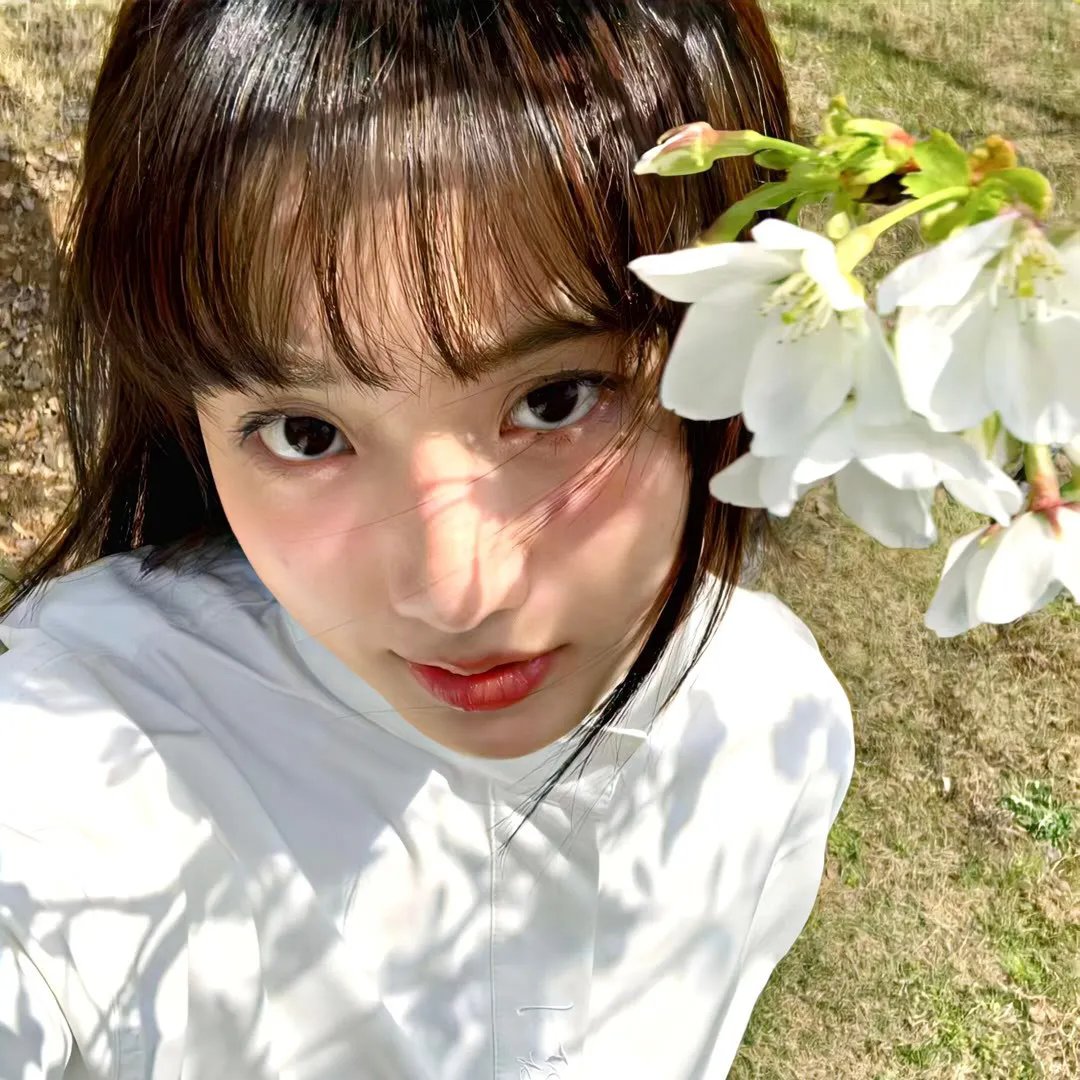 蜂蜜之夏